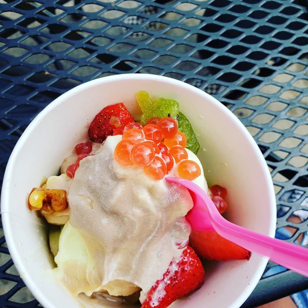 Yogli Mogli | 3000 Chapel Hill Rd Ste 101, Douglasville, GA 30135, USA | Phone: (678) 838-9000