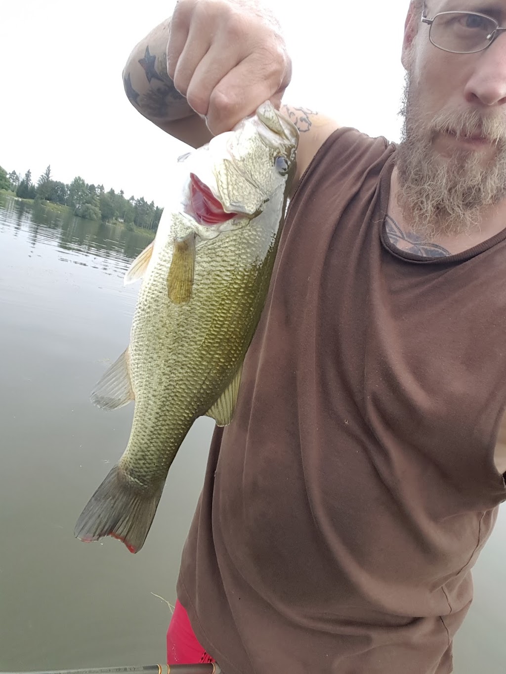 Red Breeze Private Camp Site | 13645 Waterport Carlton Rd, Waterport, NY 14571, USA | Phone: (585) 764-3156