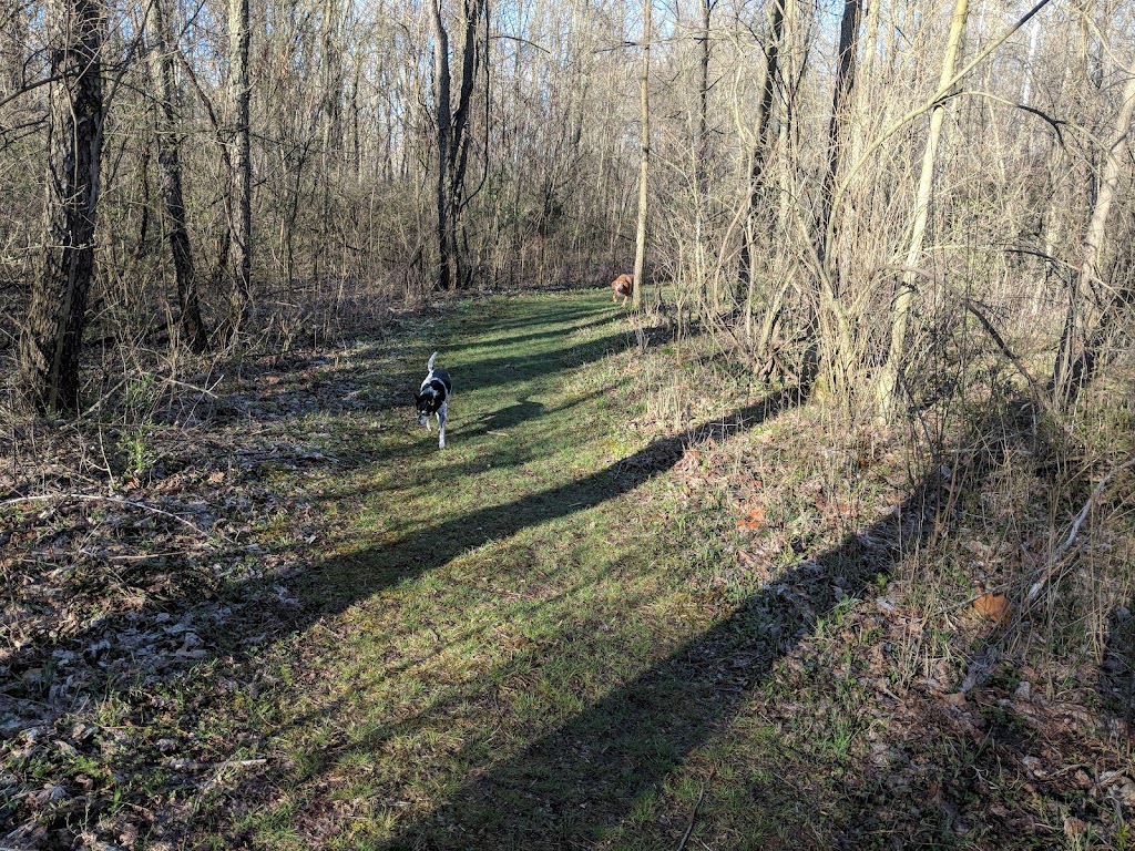 Benton Dam ‒ River Preserve County Park | 68552 Co Rd 31, New Paris, IN 46553, USA | Phone: (574) 535-6458