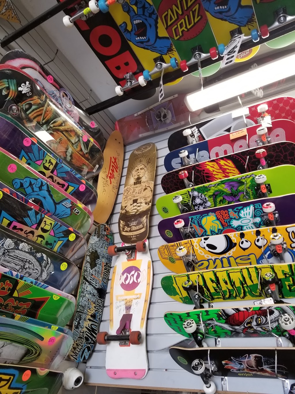 Venice Skateboarding | 8 Brooks Ave C, Venice, CA 90291, USA | Phone: (310) 314-5230