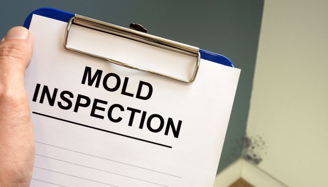 Pine Tree Mold Inspections | 1806 N Flamingo Rd, Pembroke Pines, FL 33028, United States | Phone: (754) 229-1391