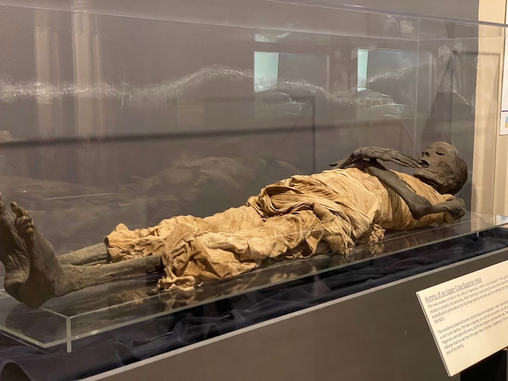 Rosicrucian Egyptian Museum | 1660 Park Ave, San Jose, CA 95191, USA | Phone: (408) 947-3635