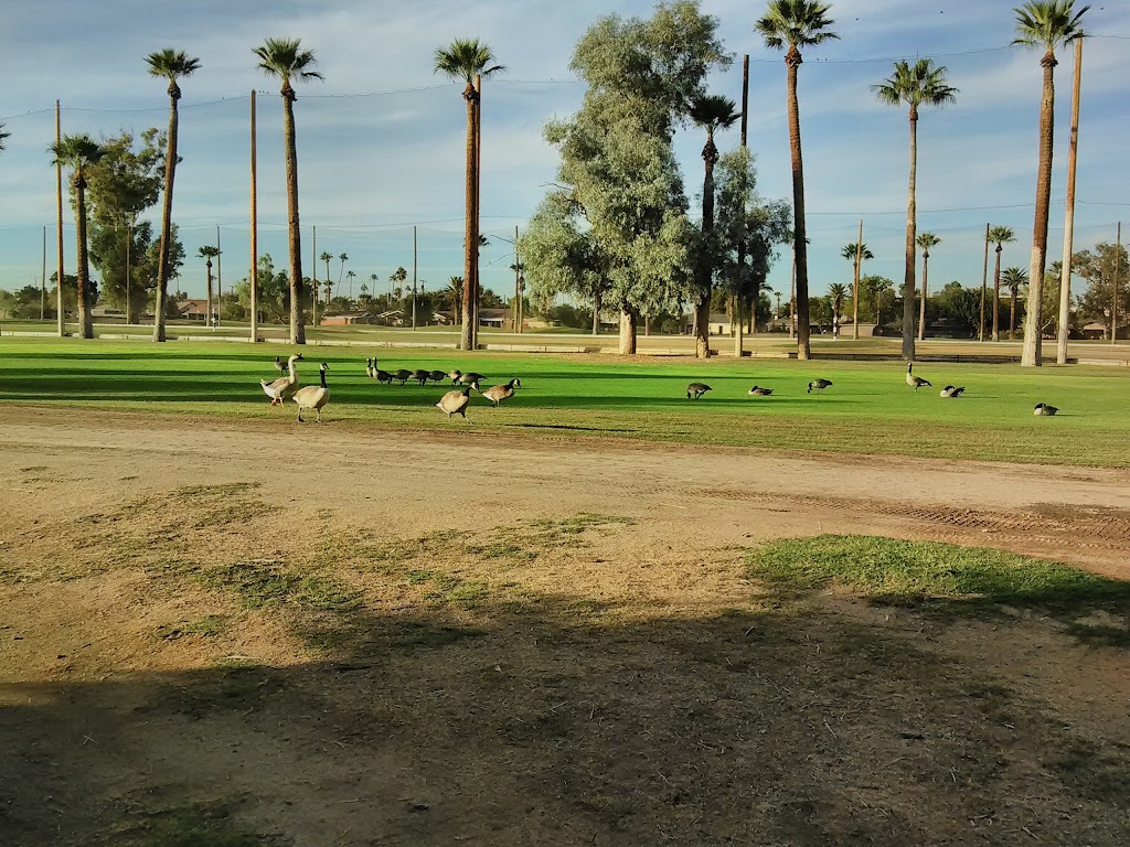 Phoenix Parks & Recreation | 2700 N 15th Ave, Phoenix, AZ 85007, USA | Phone: (602) 262-6412
