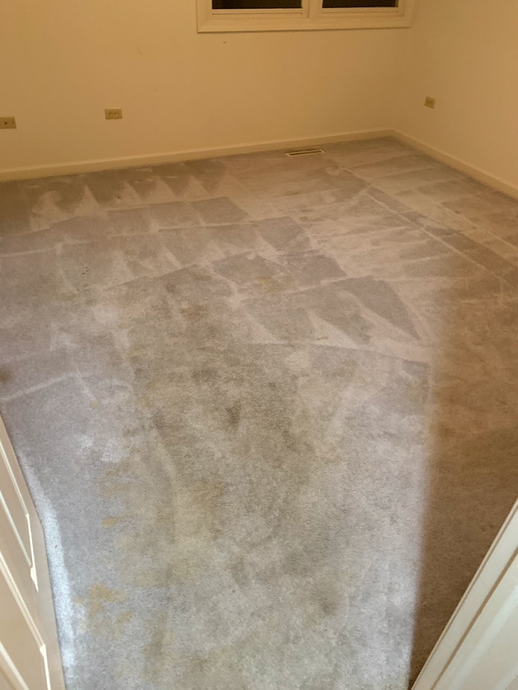 A Pristine Carpet Cleaning | 1001 W Cottonwood Ln, Mt Prospect, IL 60056, USA | Phone: (224) 318-5888