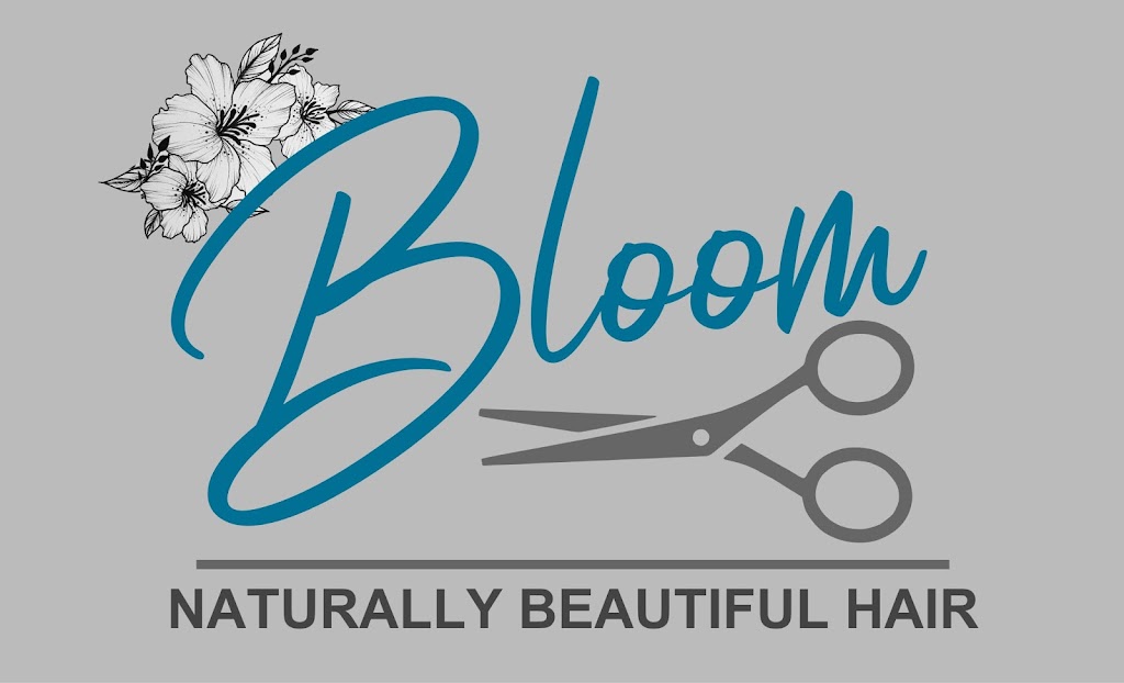 Bloom Hair | 139 North St, Foxborough, MA 02035, USA | Phone: (508) 543-0200