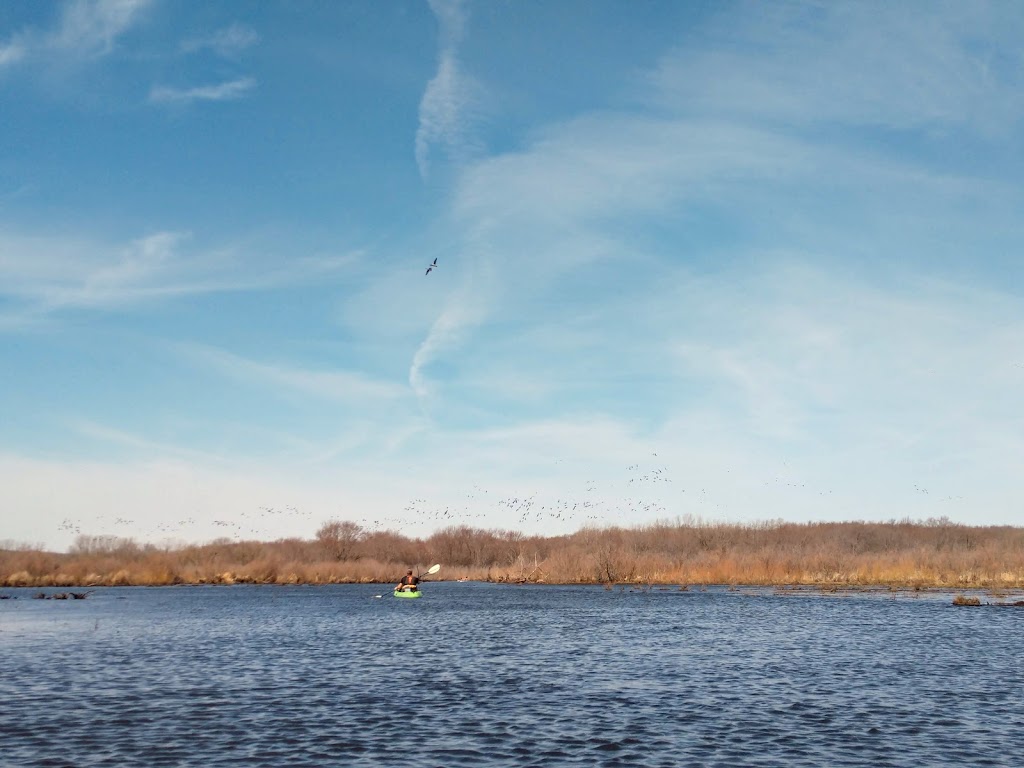 Waterloo Prairie State Natural Area | W8288 Blue Joint Rd, Waterloo, WI 53594, USA | Phone: (608) 266-0394