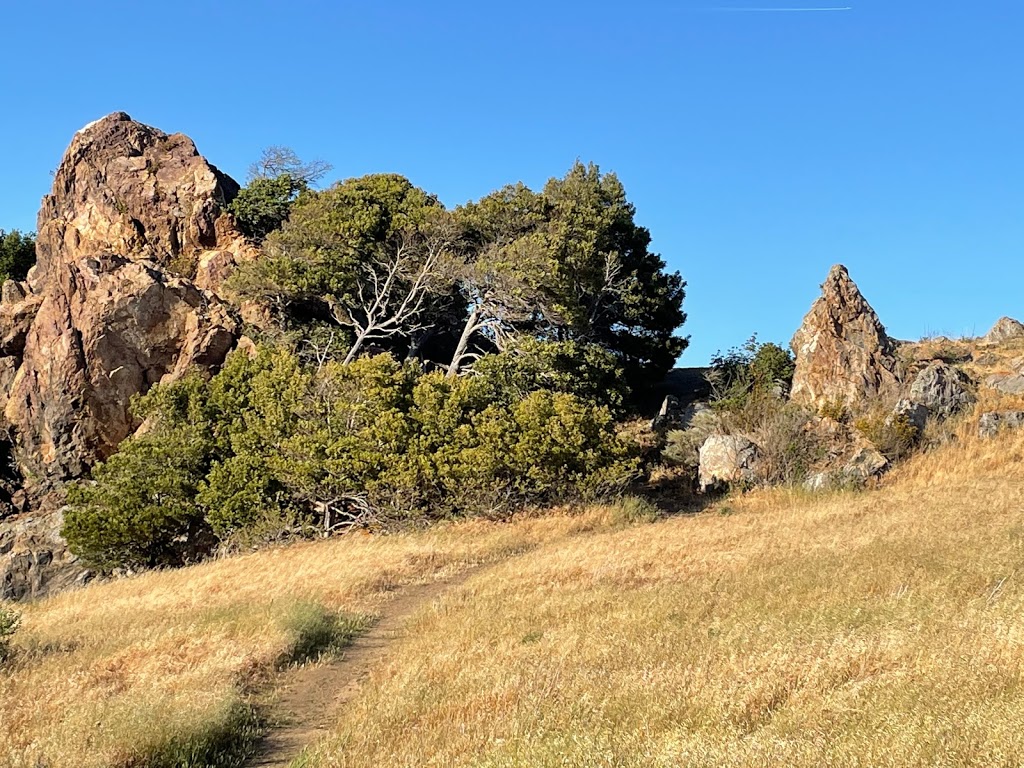 Coyote Hills Regional Park | 8000 Patterson Ranch Rd, Fremont, CA 94555, USA | Phone: (510) 544-3220