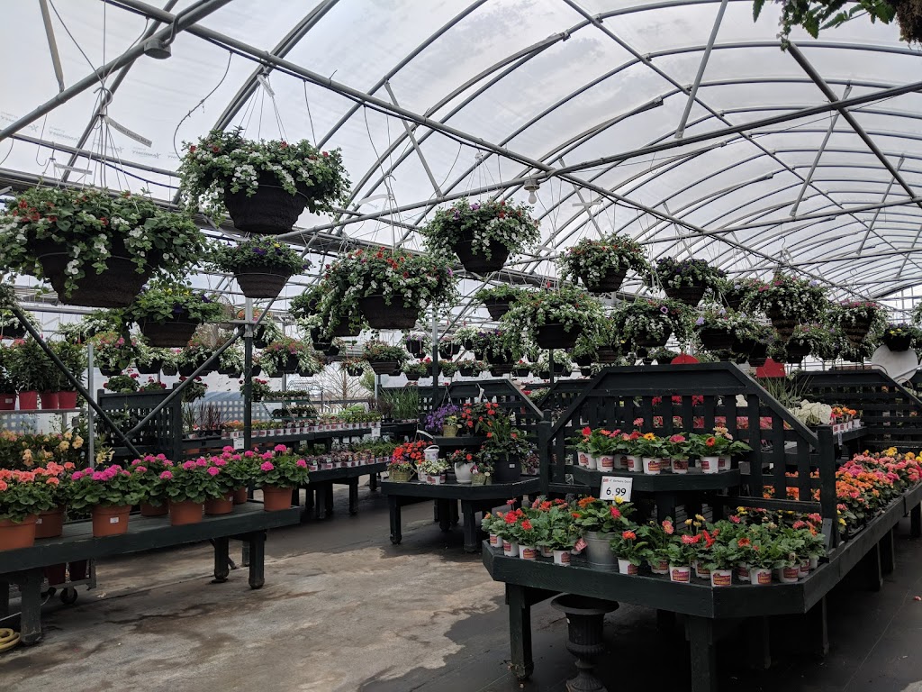 Scheiderer Farms Greenhouse | 13436 OH-38, Marysville, OH 43040 | Phone: (937) 642-2093