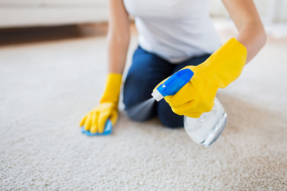 A & Z Carpet Care | 20359 Acre, Orange, CA 92869, USA | Phone: (949) 954-5067