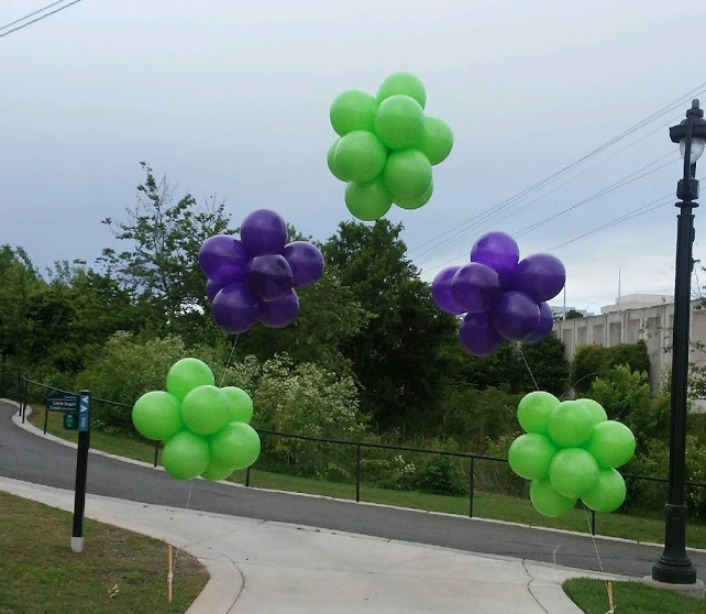 PARTY BALLOONS BY Q | 132 Jeffress Dr, Louisburg, NC 27549, USA | Phone: (919) 899-4700