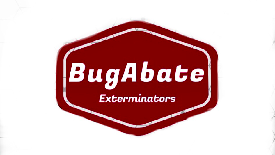 BugAbate Exterminators | 8055 E Avenue U, Littlerock, CA 93543, USA | Phone: (818) 370-6571