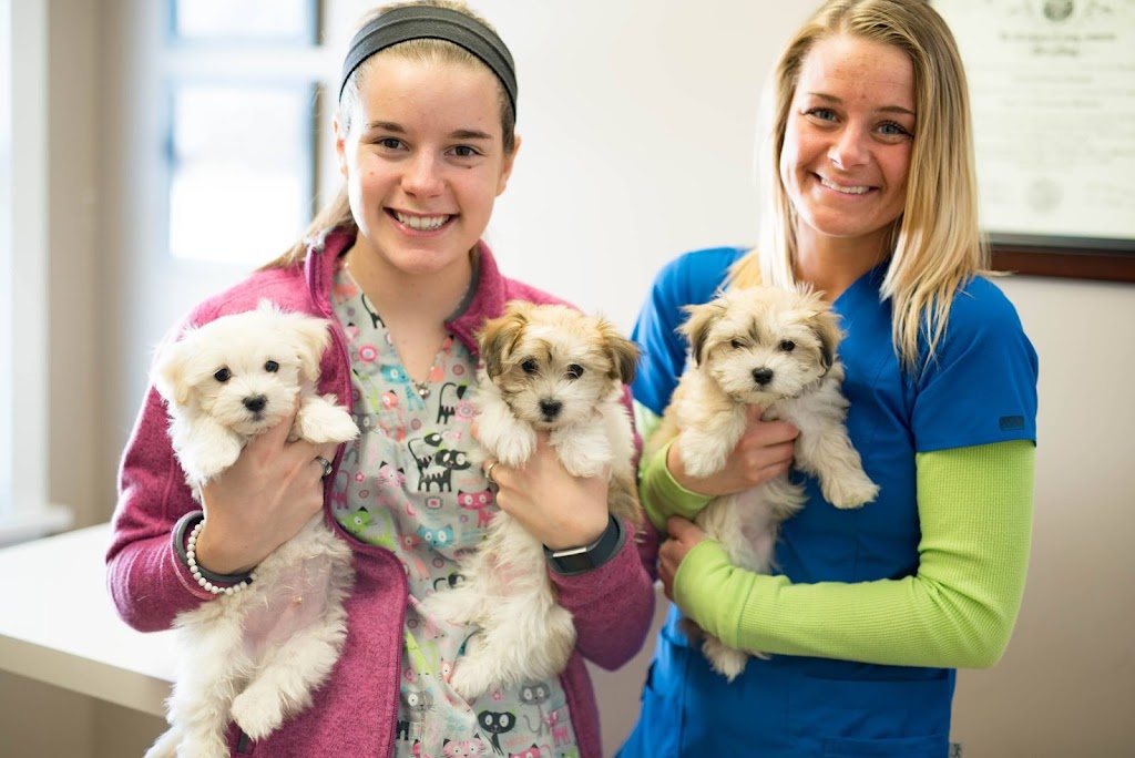 North Main Animal Hospital | 1632 N Main St, OFallon, MO 63366, USA | Phone: (636) 240-1313