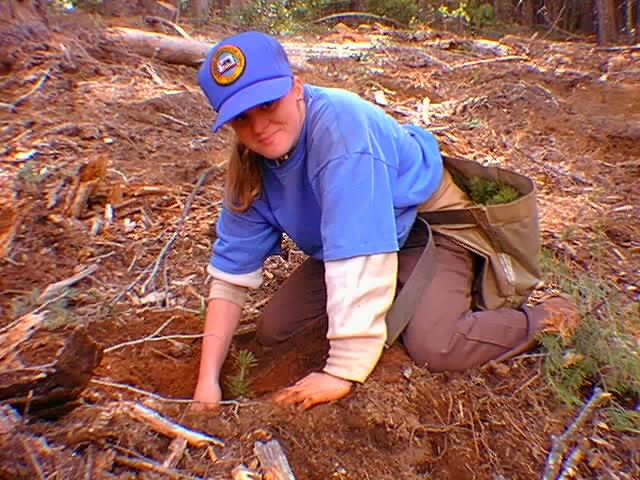 California Conservation Corps Auburn | 3710 Christian Valley Rd, Auburn, CA 95602, USA | Phone: (530) 823-4900