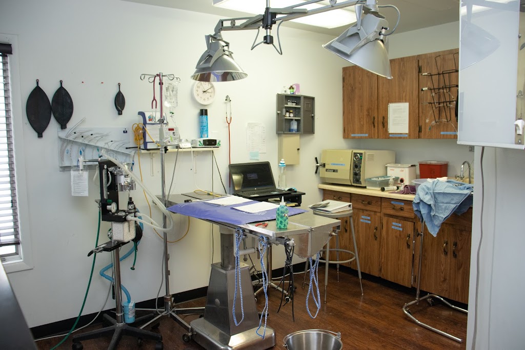 Whittaker Road Animal Clinic | 1842 Whittaker Rd, Ypsilanti, MI 48197, USA | Phone: (734) 485-8387