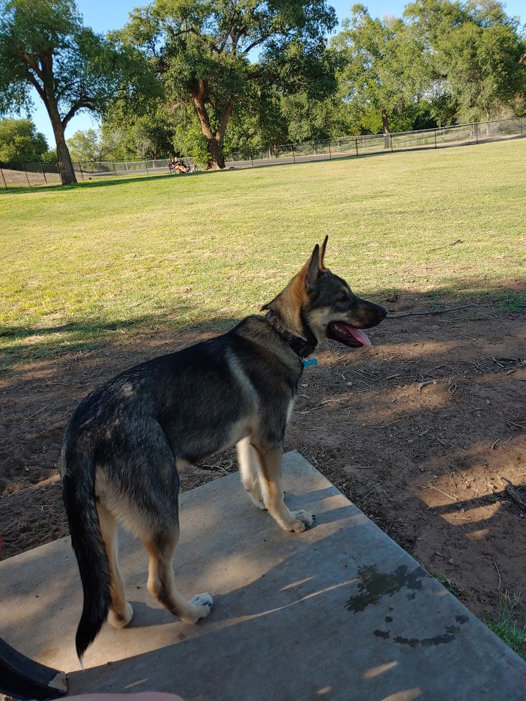 Canyon Run Dog Park at Mackenzie Park | 3801 Avenue B, Lubbock, TX 79404, USA | Phone: (806) 775-2687