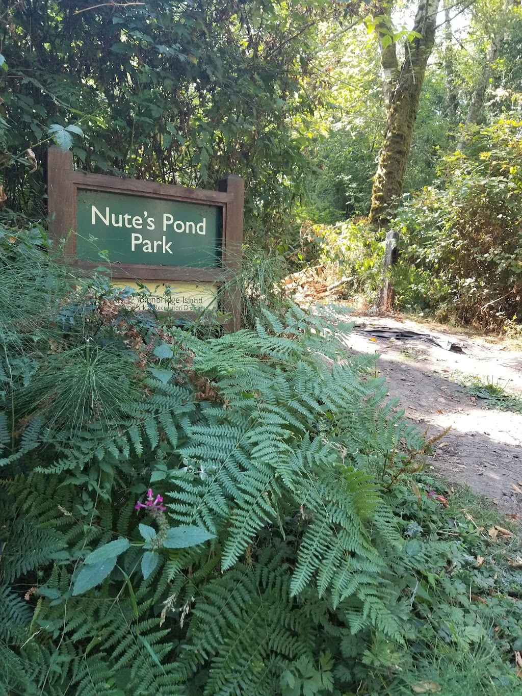 Nutes Pond Park | 1601-2101 Toe Jam Hill Rd NE, Bainbridge Island, WA 98110, USA | Phone: (206) 842-2306