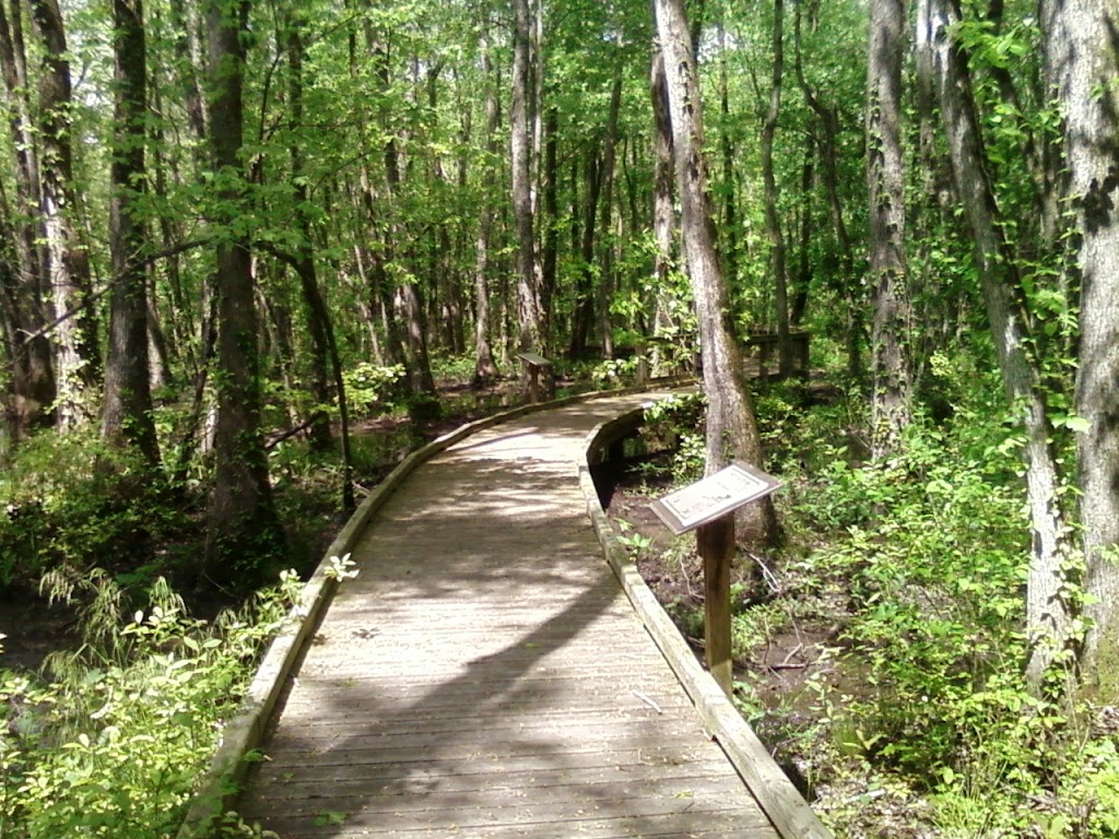 Ebenezer Swamp Ecological Preserve | Montevallo, AL 35007, USA | Phone: (205) 665-6463