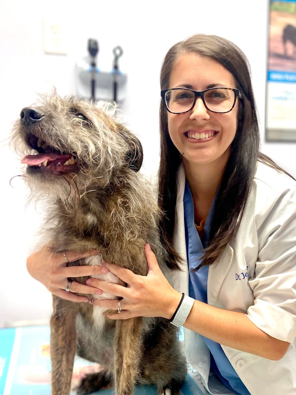 South Seminole Animal Hospital | 102 Oxford Rd, Fern Park, FL 32730, USA | Phone: (407) 831-5205