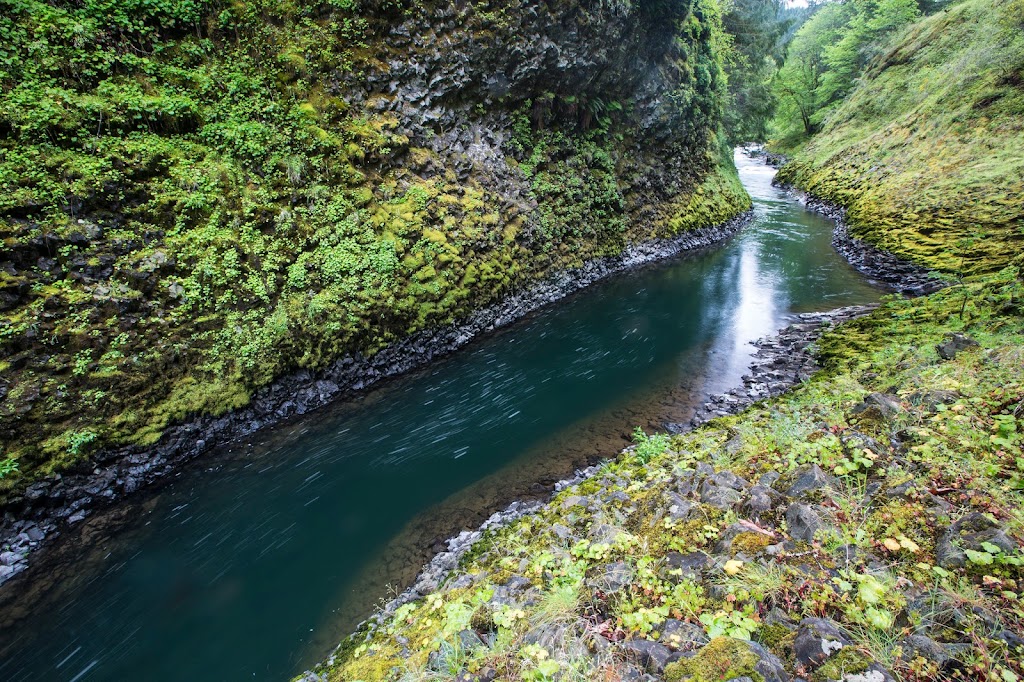 Molalla River Recreation Area | s 97038, 36287 S Dickey Prairie Rd, Molalla, OR 97038, USA | Phone: (503) 375-5646