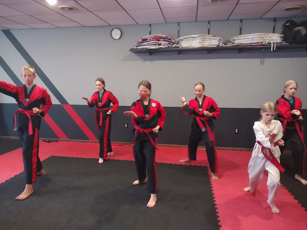 Lions Den Fitness and Martial Arts | 1337 Mills St, Black Earth, WI 53515, USA | Phone: (608) 259-6569