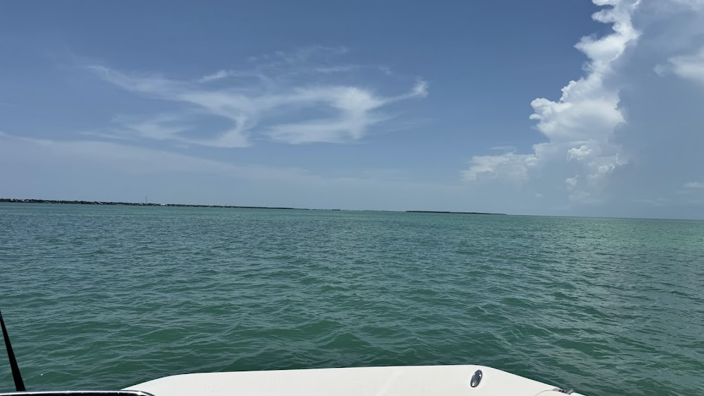 Family Fun Snorkeling, Sandbar, Ecotours, Sunset Cruise, Boat Tours | 85920 Overseas Hwy, Islamorada, FL 33036, USA | Phone: (305) 896-2915