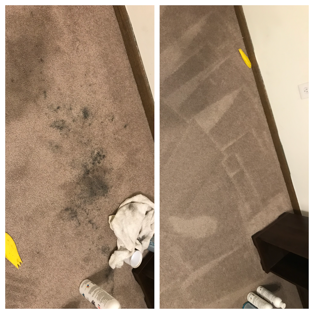 Yep We Fix Carpet - Carpet Repair Mpls | 1810 11th Ave S, Minneapolis, MN 55404, USA | Phone: (952) 234-8929