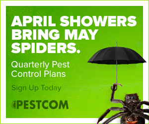 Pestcom Pest Control | 6267 W Joplin Rd, Nampa, ID 83687, USA | Phone: (208) 639-1776