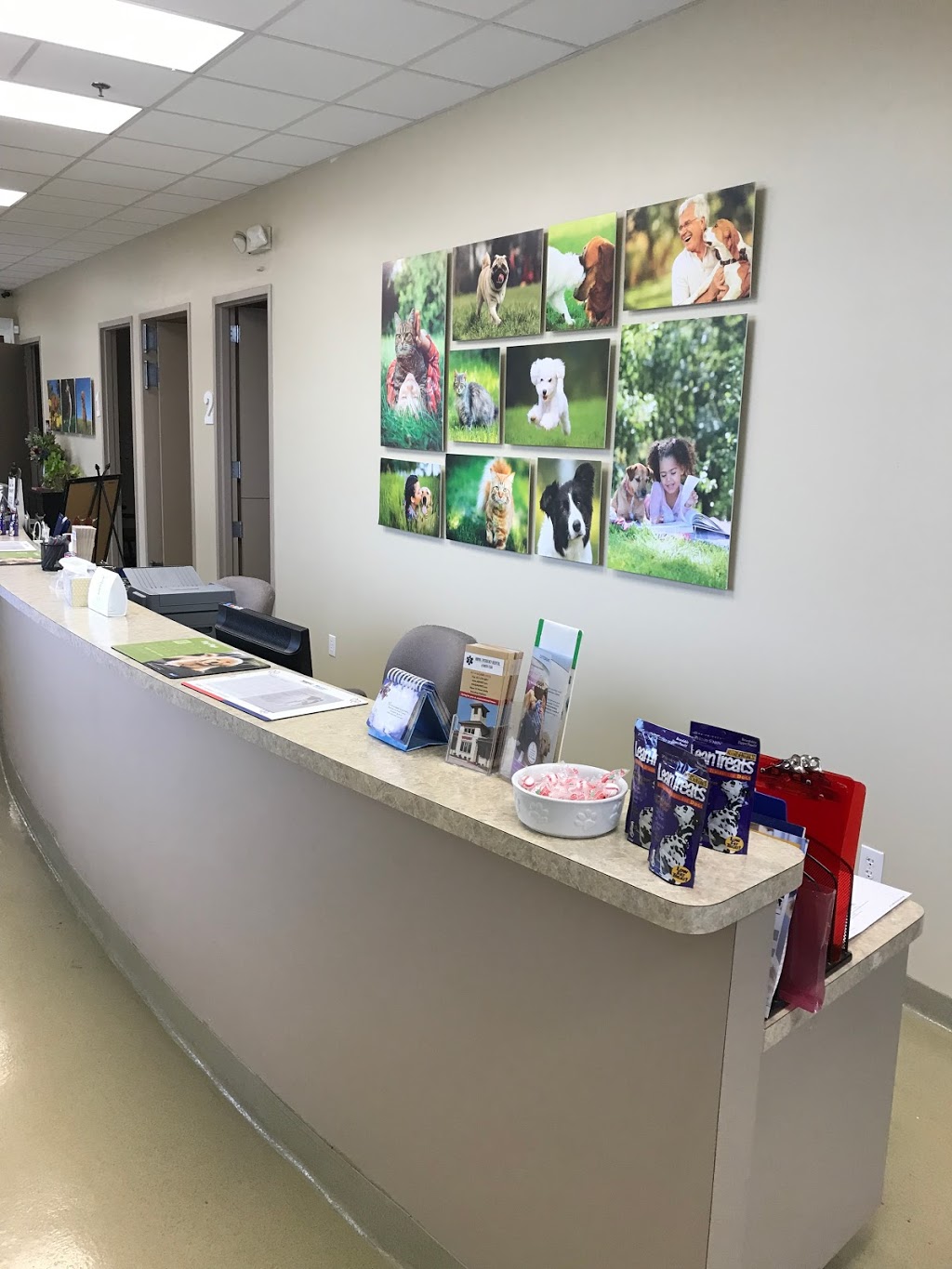 Towne Center Animal Hospital | 82 Grapevine Hwy, Hurst, TX 76054, USA | Phone: (817) 498-8888