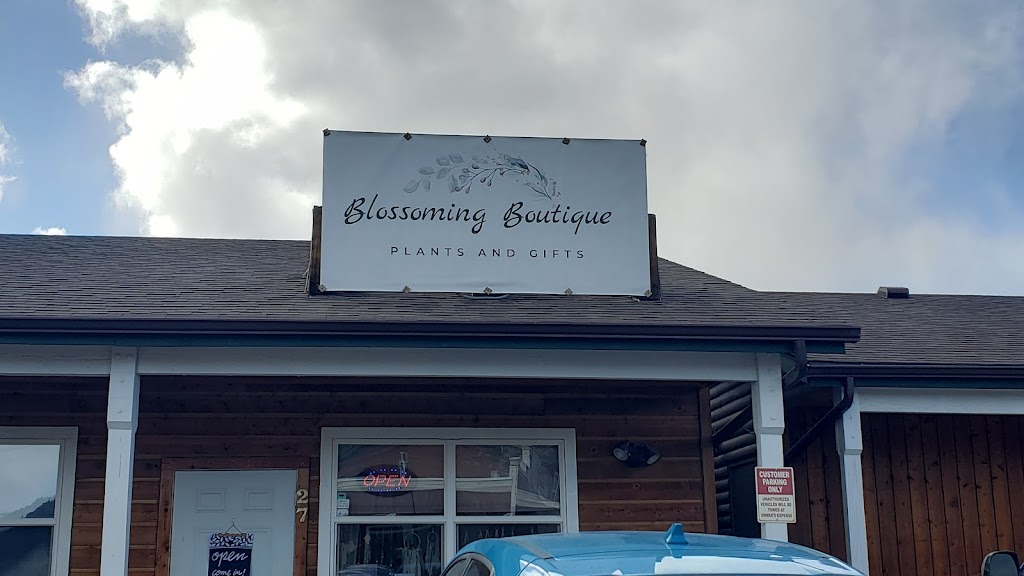 Blossoming Boutique | 27 Co Rd 68, Bailey, CO 80421, USA | Phone: (720) 924-6294