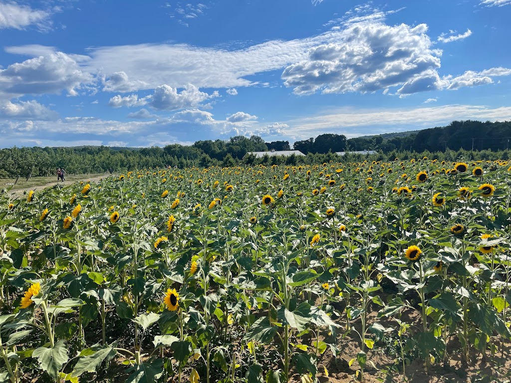 Melicks Town Farm - Califon Orchards | 472 County Rd 513, Califon, NJ 07830, USA | Phone: (908) 832-2905