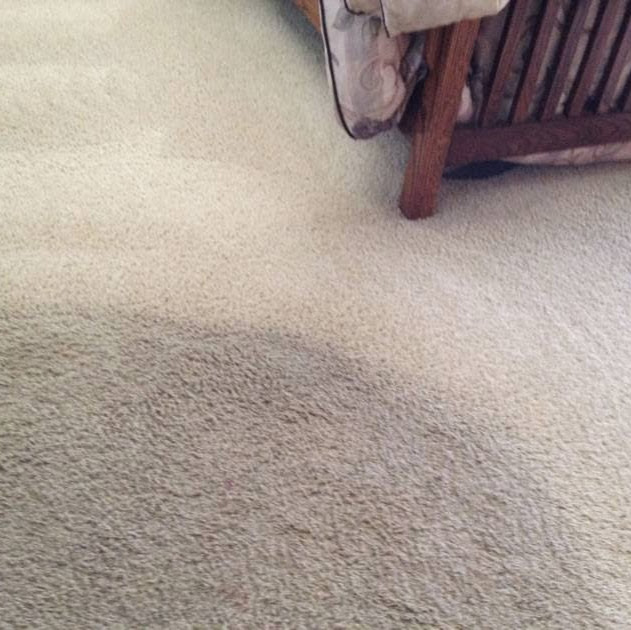 Carpet Restoration Specialists | 26660 Montclair Dr, Hemet, CA 92544, USA | Phone: (951) 330-5710