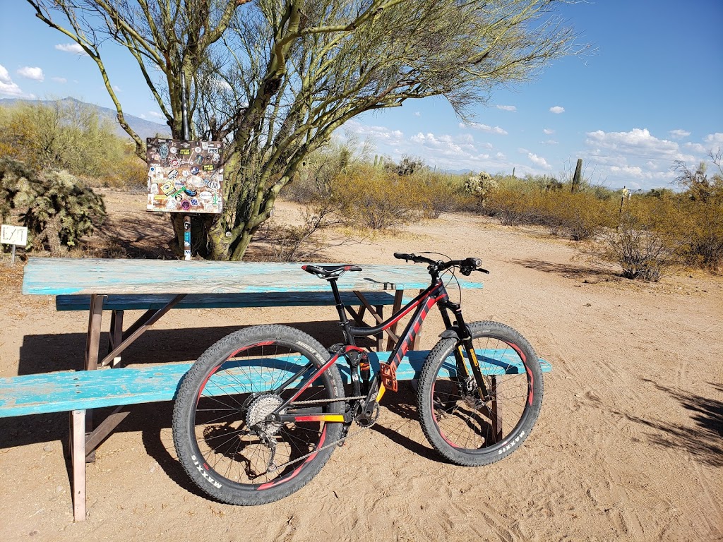 Fantasy Island Mountain Bike Park (North) | 9500 E Irvington Rd, Tucson, AZ 85730, USA | Phone: (520) 791-4873