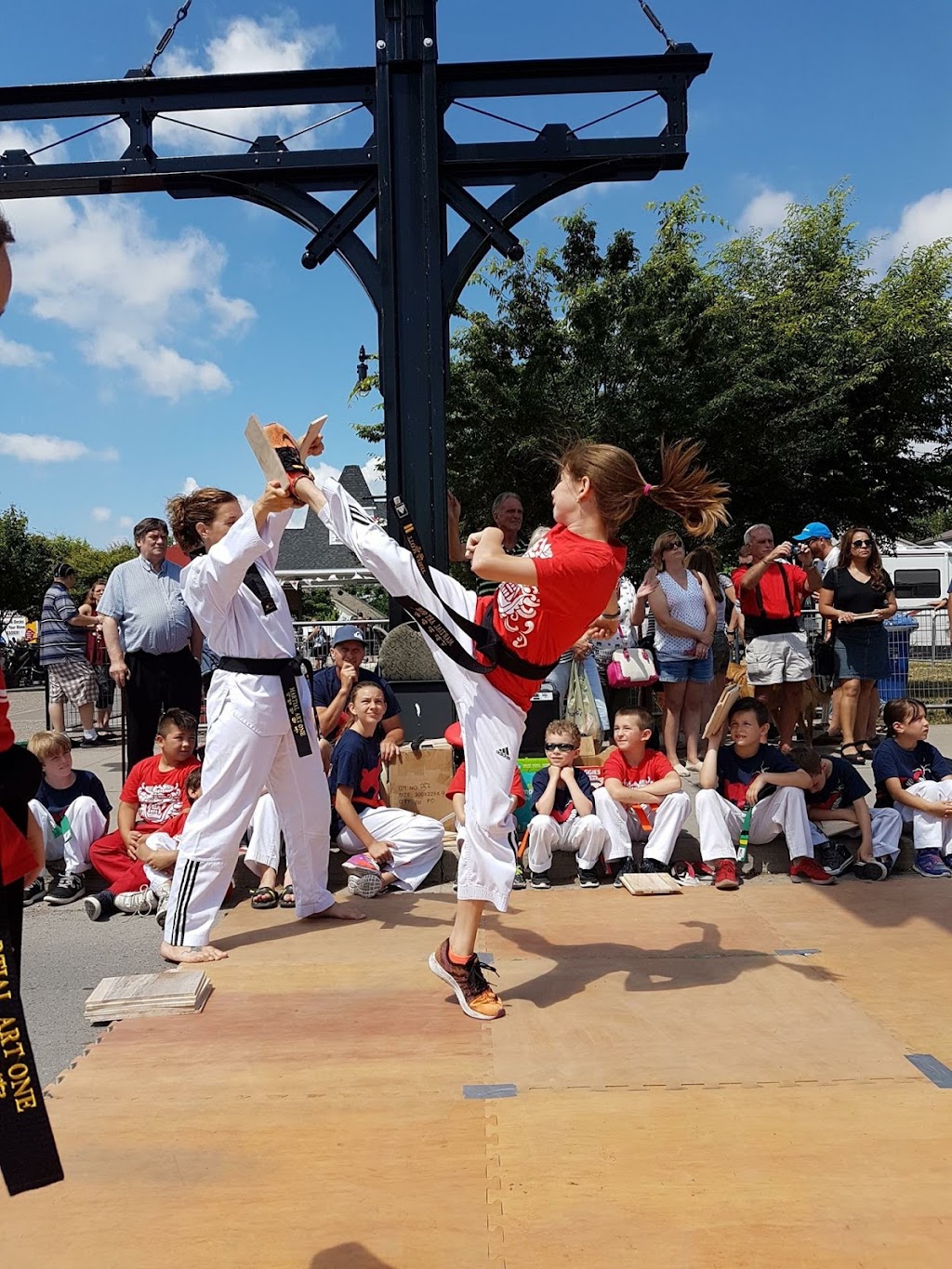 Niagara Taekwondo Niagara Falls | 7107 Kalar Rd Unit 6, Niagara Falls, ON L2H 3J6, Canada | Phone: (905) 380-6739
