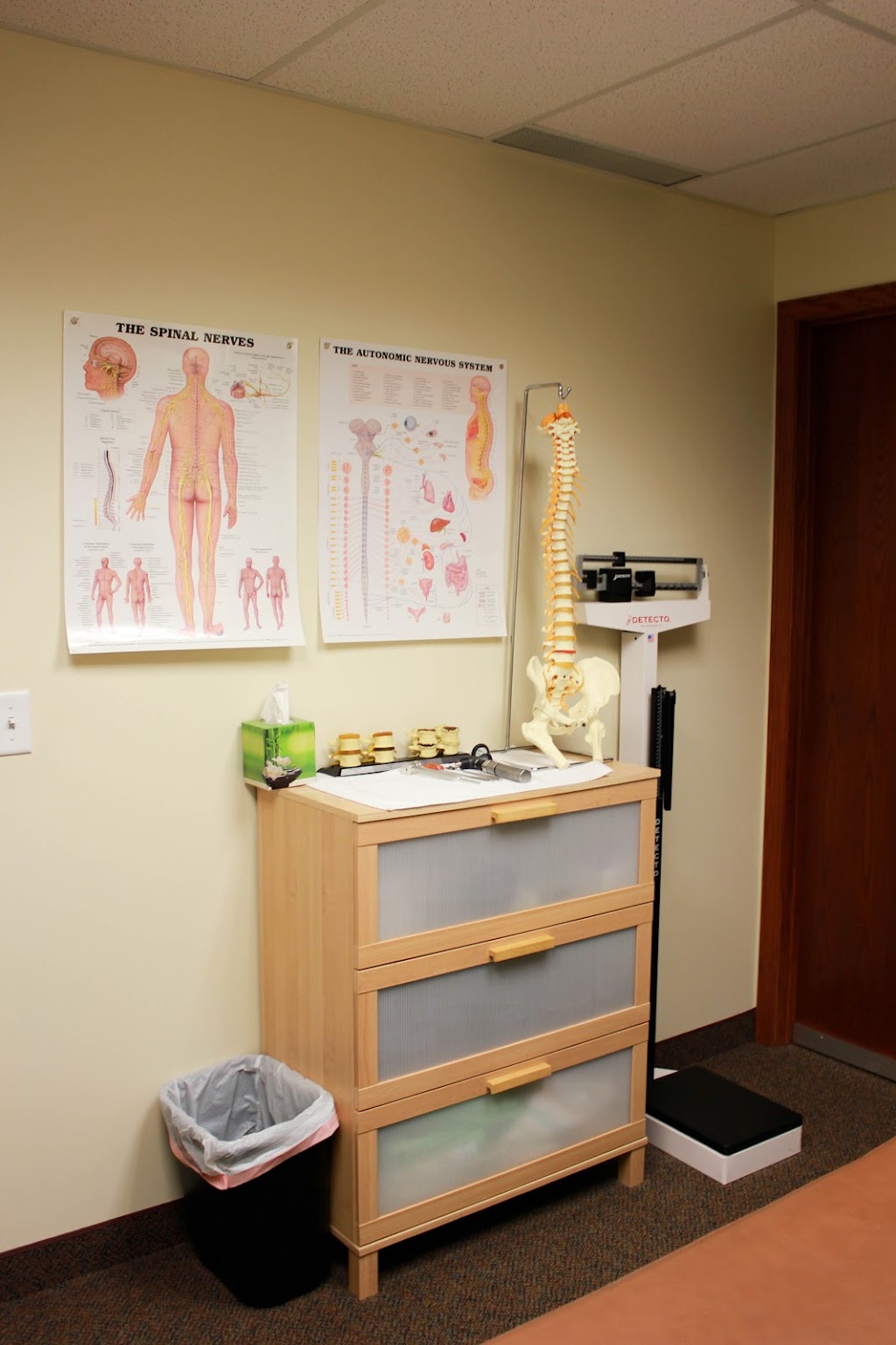 Parkview Chiropractic Clinic | 968 Inwood Ave N, Oakdale, MN 55128 | Phone: (651) 578-8588