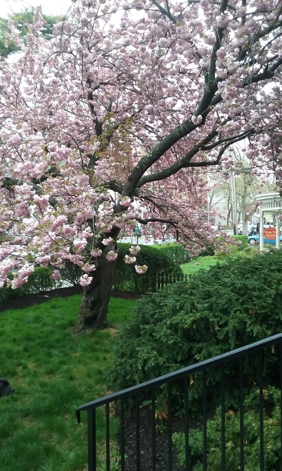 The Nyack Library | 59 S Broadway, Nyack, NY 10960, USA | Phone: (845) 358-3370 The Nyack Library | 59 S Broadway, Nyack, NY 10960, USA | Phone: (845) 358-3370