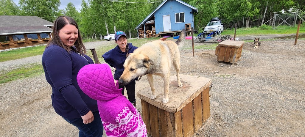 Alaskan Husky Adventures | 18408 W Reynolds Rd, Willow, AK 99688, USA | Phone: (907) 744-8211