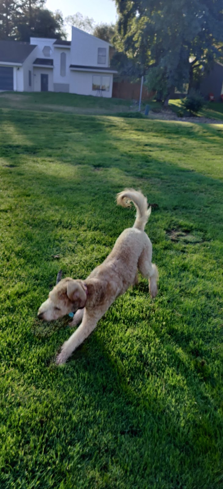 William C. "Bill" McCabe Park | 2581 Hoffman Ct, El Dorado Hills, CA 95762, USA | Phone: (916) 933-6624