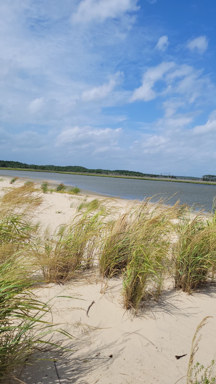 Bethel Beach Natural Area Preserve | State Rte 609, Onemo, VA 23130, USA | Phone: (804) 786-7951