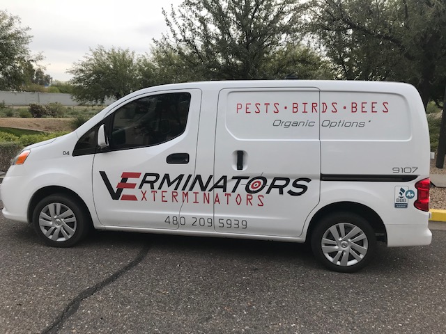 Verminators Exterminators | 3035 W Los Gatos Dr, Phoenix, AZ 85027, USA | Phone: (480) 209-5939