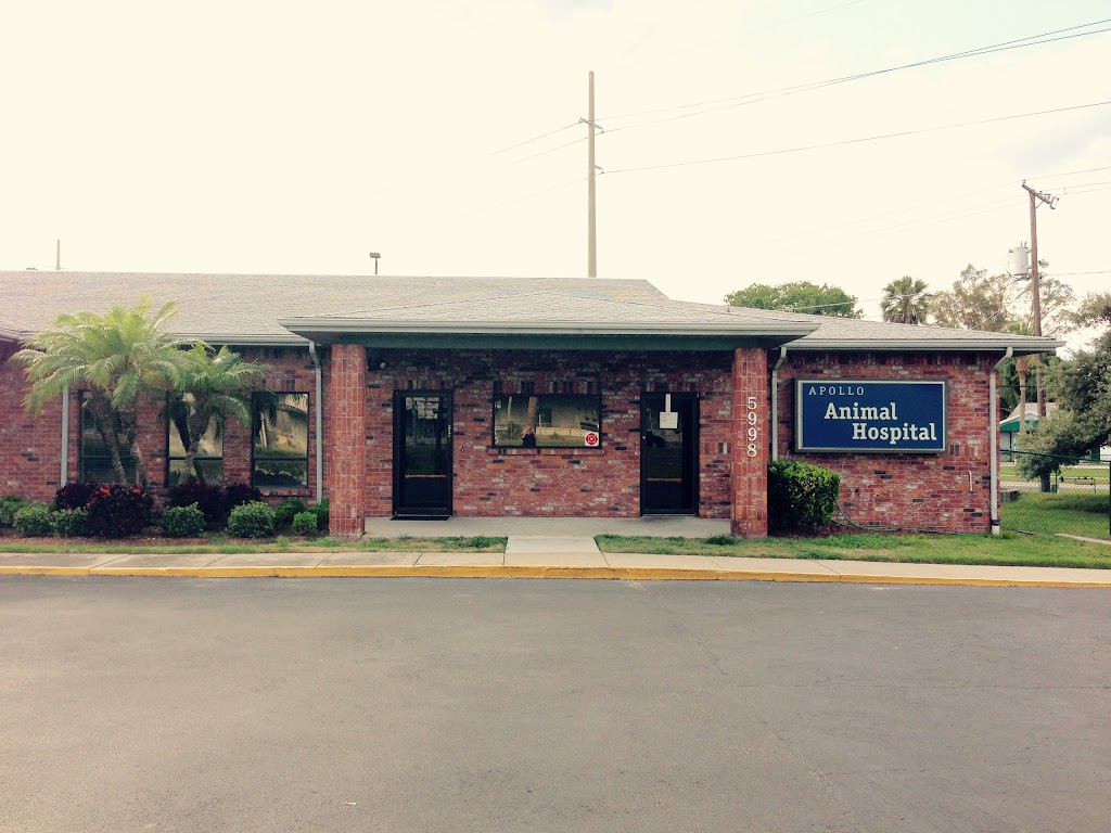 Apollo Beach Animal Hospital | 5998 N U.S. Hwy 41, Apollo Beach, FL 33572, USA | Phone: (813) 645-9567