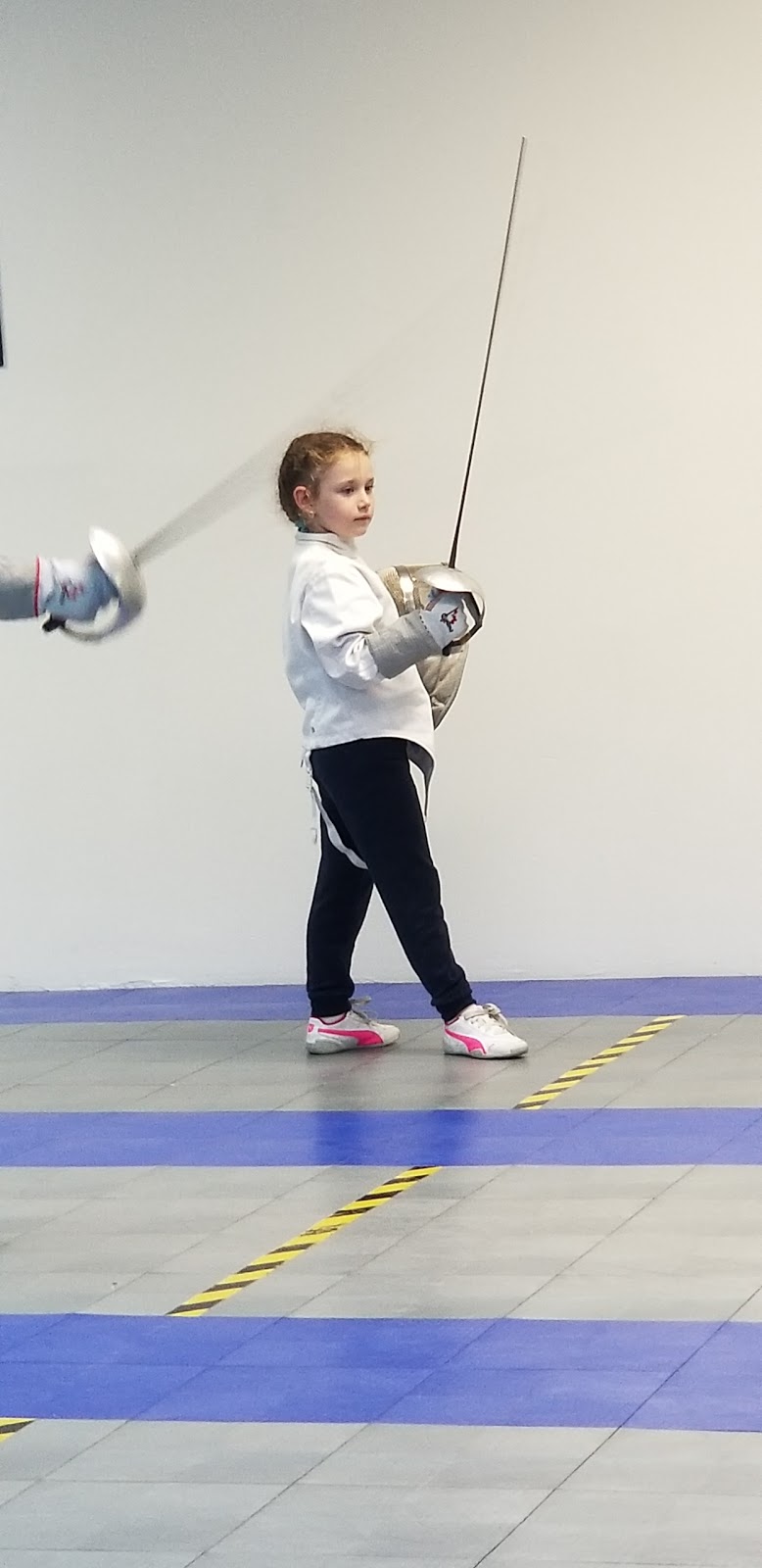 ALLE Fencing | 7373 Davie Road Extension, Hollywood, FL 33024 | Phone: (954) 929-0600