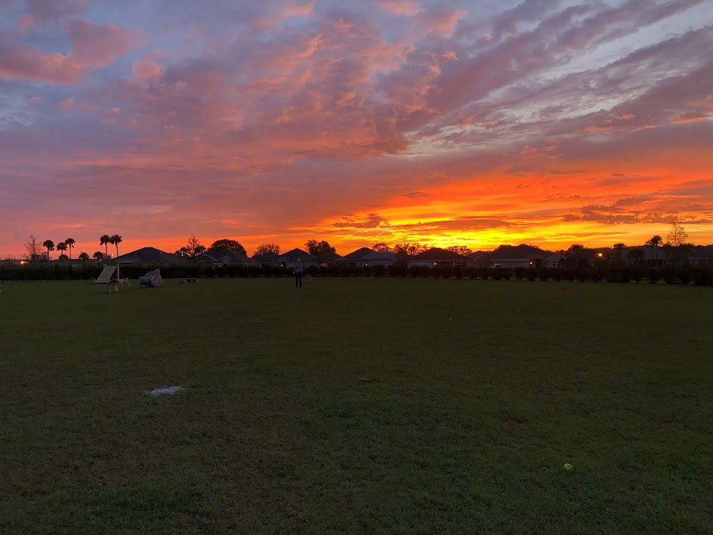 Dudley Canine Park and Archery Range | Wildwood, FL 32163, USA | Phone: (352) 674-8460