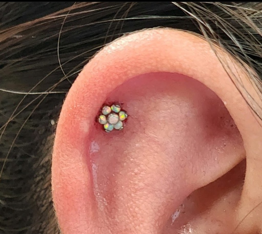 The Loudest Point | 1835 E Military Ave suite 109, Fremont, NE 68025, USA | Phone: (402) 459-2127