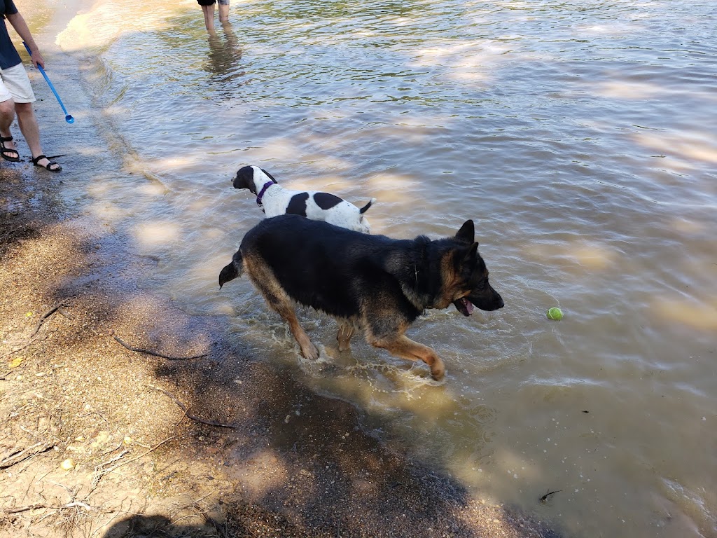 Friends of Alum Creek Dog Park | 3993 Hollenback Rd, Lewis Center, OH 43035, USA | Phone: (740) 548-4631