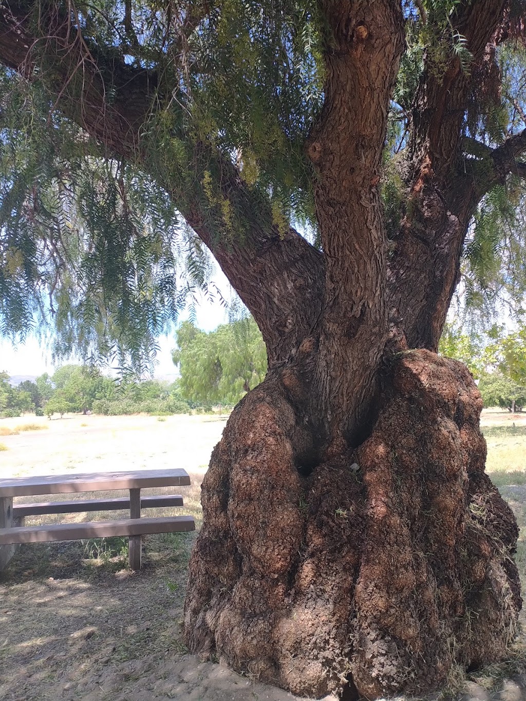 Kelley Park Disc Golf Course Parking Lot | 799 Phelan Ave, San Jose, CA 95112, USA | Phone: (408) 794-6400