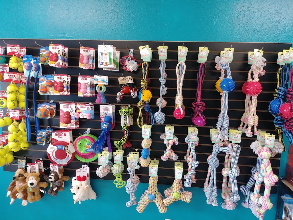 Eves Pet Supply | 2325 S Ridgewood Ave, Edgewater, FL 32141, USA | Phone: (386) 402-8918