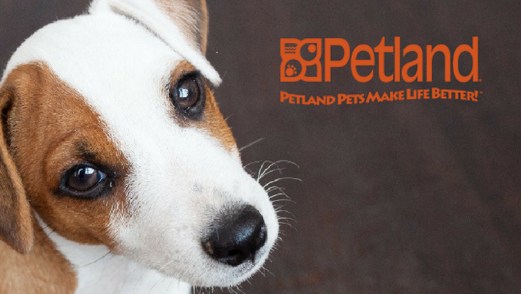 Petland Racine | 2310 S Green Bay Rd Suite J, Racine, WI 53406, USA | Phone: (262) 235-5211