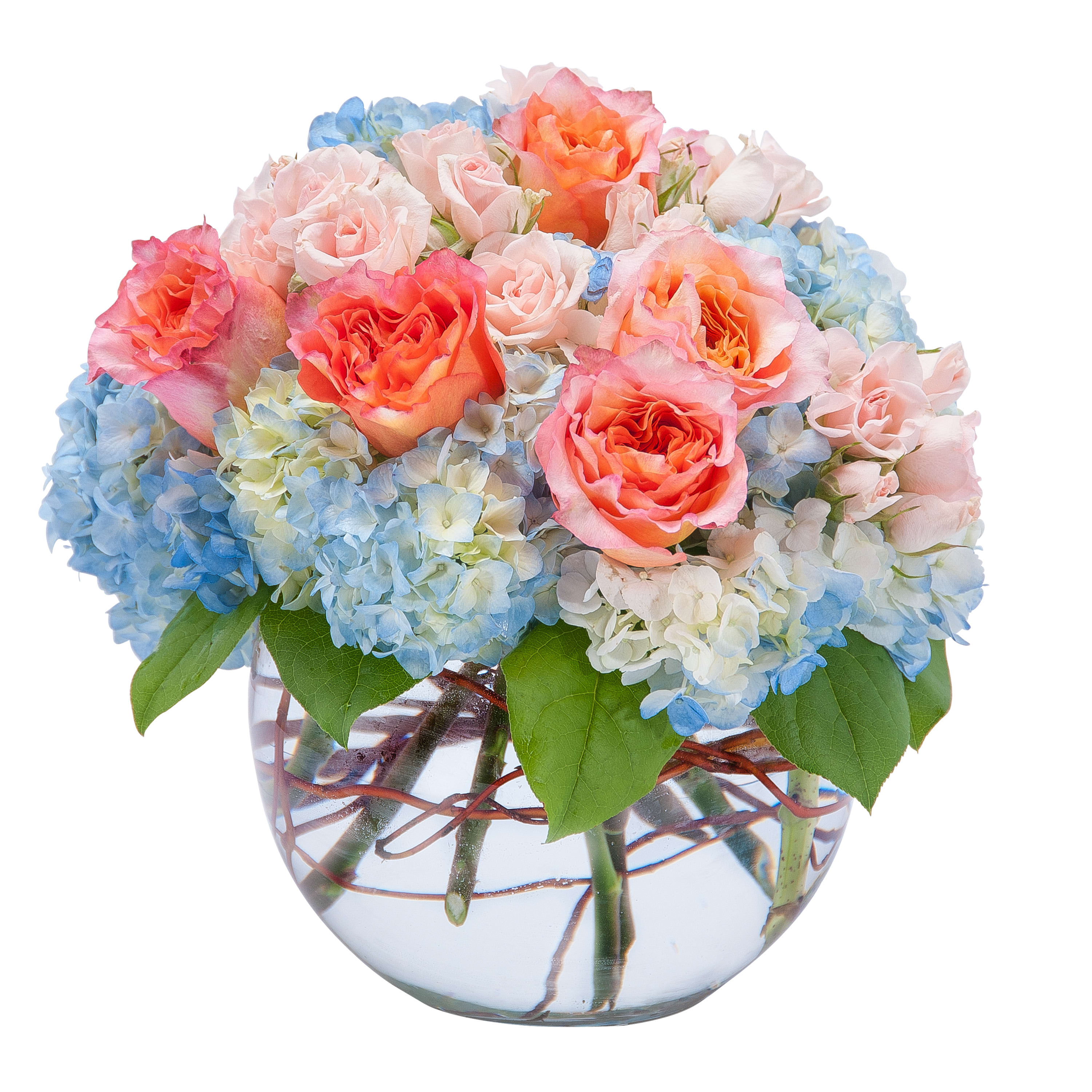 Baltimores Florist | 1206 Ridgely St, Baltimore, MD 21230, United States | Phone: (410) 727-6610