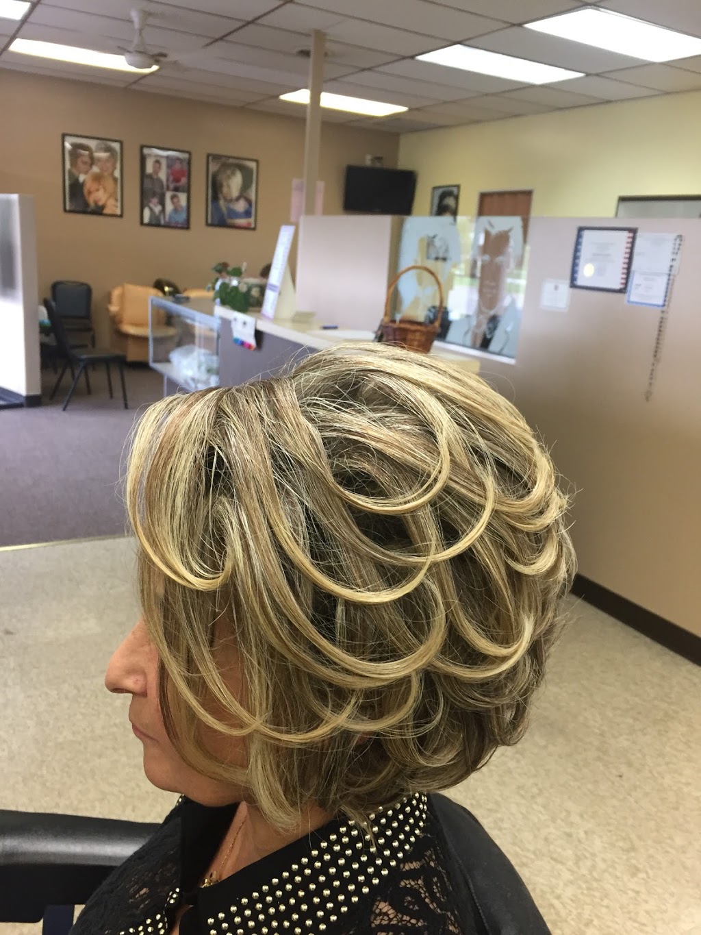 Plumbrook Salon | 38365 Dodge Park Rd, Sterling Heights, MI 48312 | Phone: (586) 883-9215