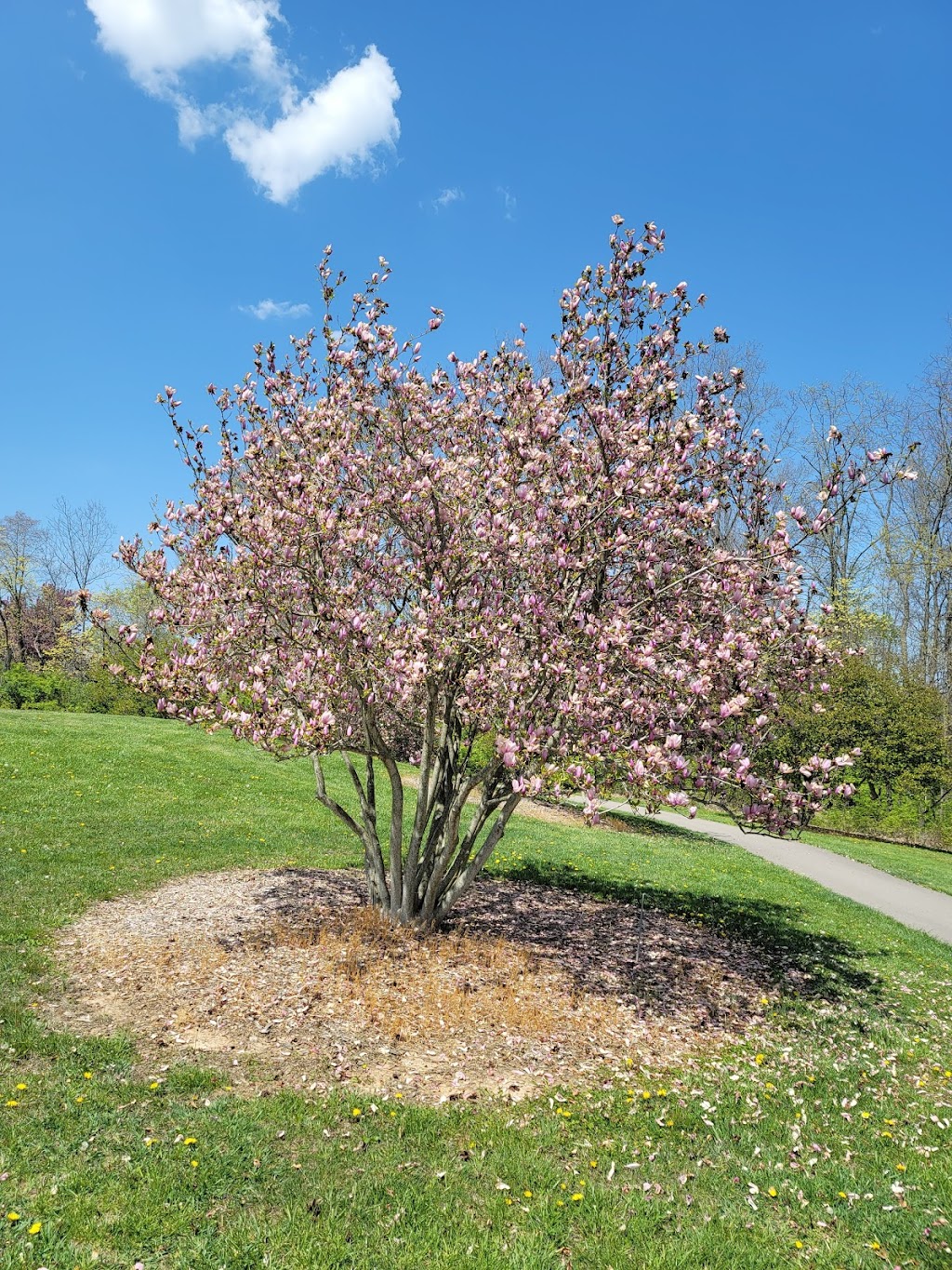 Boone County Arboretum | 9190 Camp Ernst Rd, Union, KY 41091, USA | Phone: (859) 384-4999